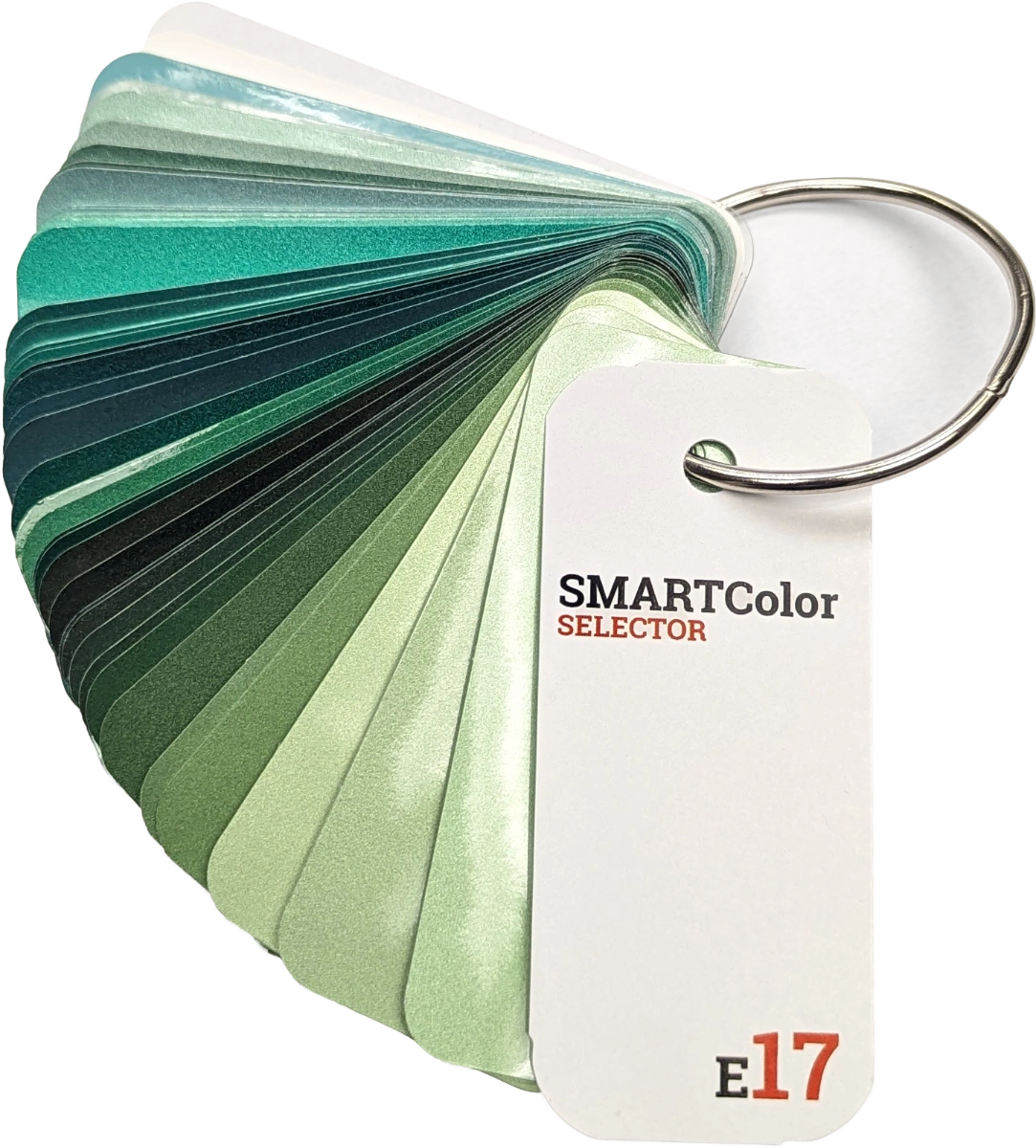 SMARTColor Selector e17 Swatch Deck